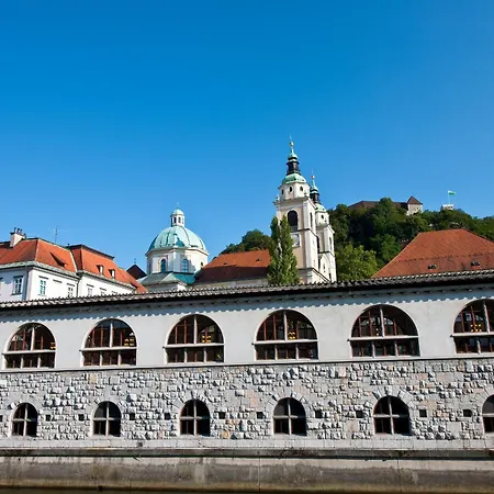 G 디자인 류블랴나